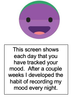 Screens showing each day you tracked your mood.